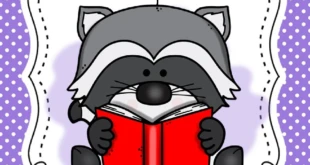 Capas de caderno guaxinim: modelos em PDF para imprimir — p13 | Ensino Já atividades para educação infantil (ensinoja.com)