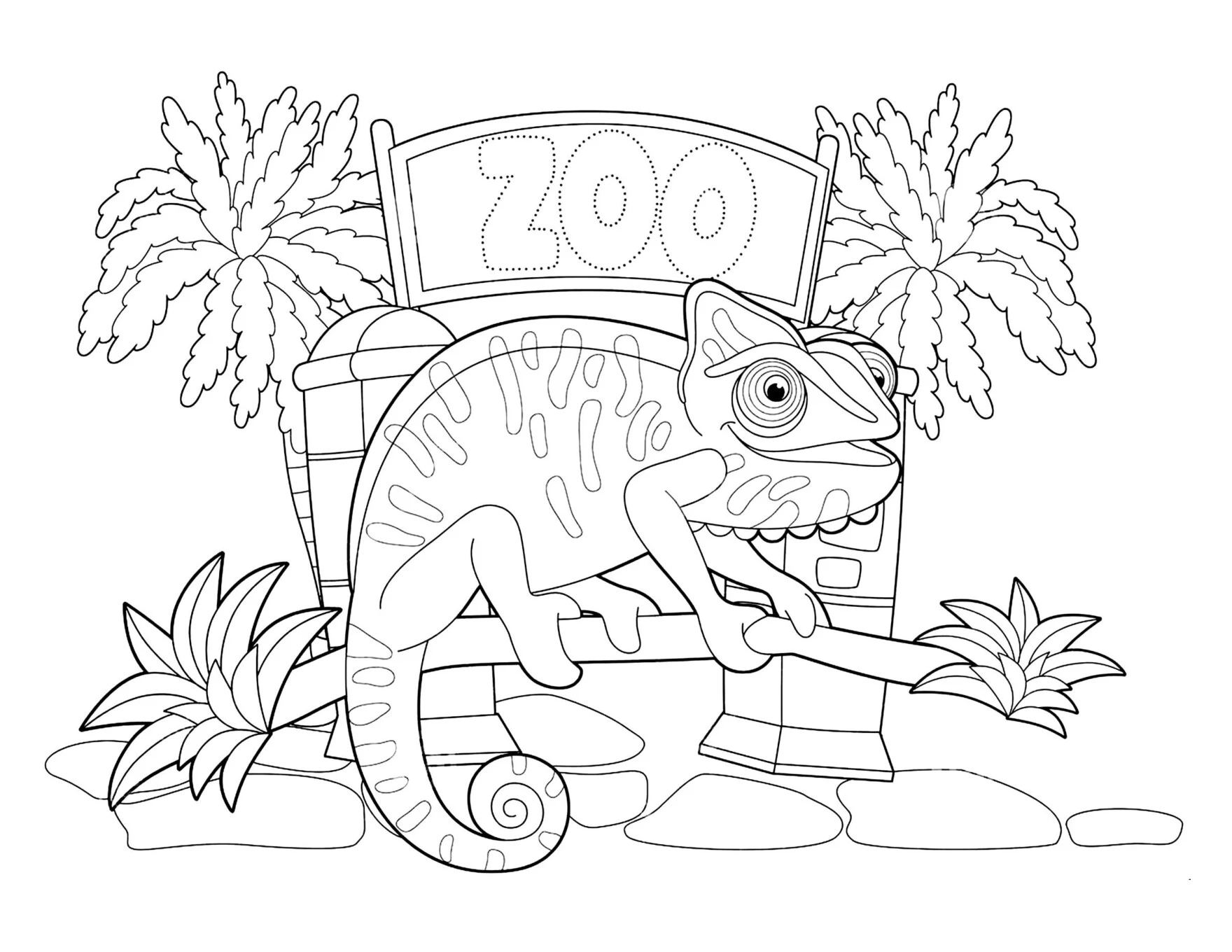 Desenhos de animais Safari para colorir: PDF para imprimir — p12 | Ensino Já atividades para educação infantil (ensinoja.com)