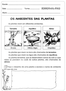 Atividade de ciências 3° ano plantas