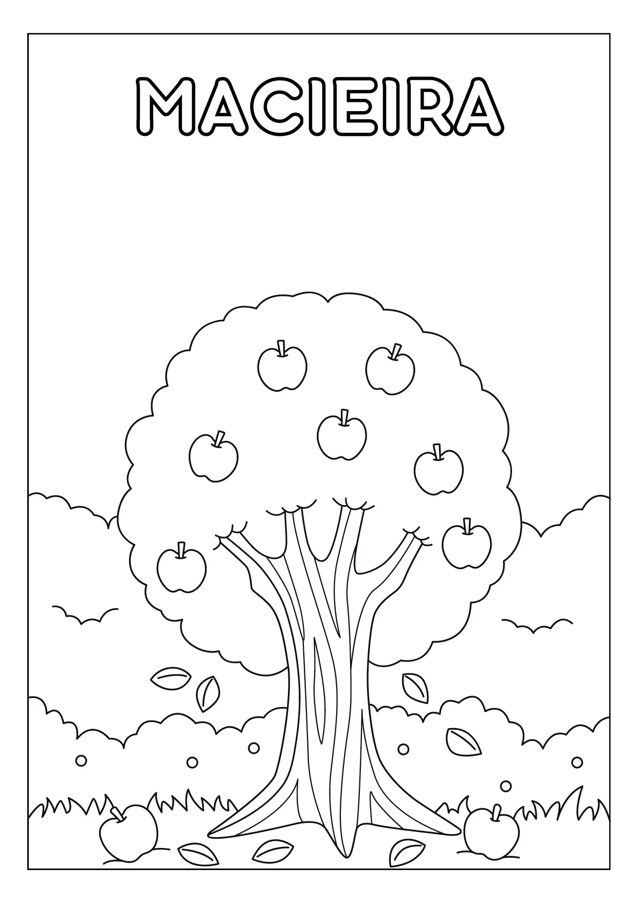 Macieira para colorir