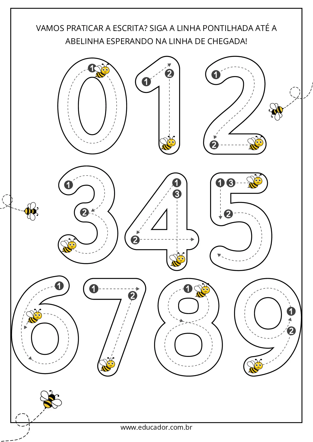 Siga a abelinha até a linha de chegada pontilhados