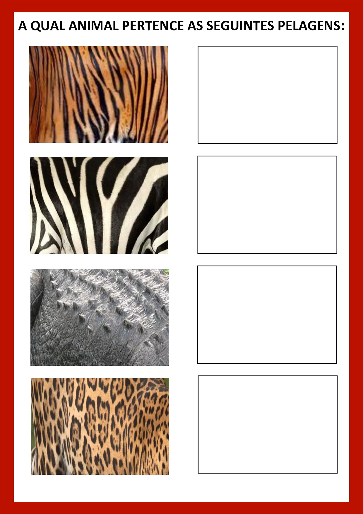 Associacao E Pareamento Atividades Para Educacao Infantil 6