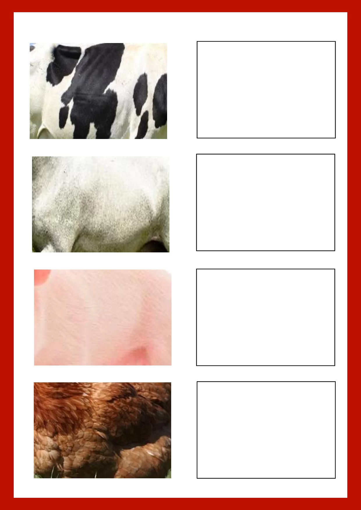 Associacao E Pareamento Atividades Para Educacao Infantil 7