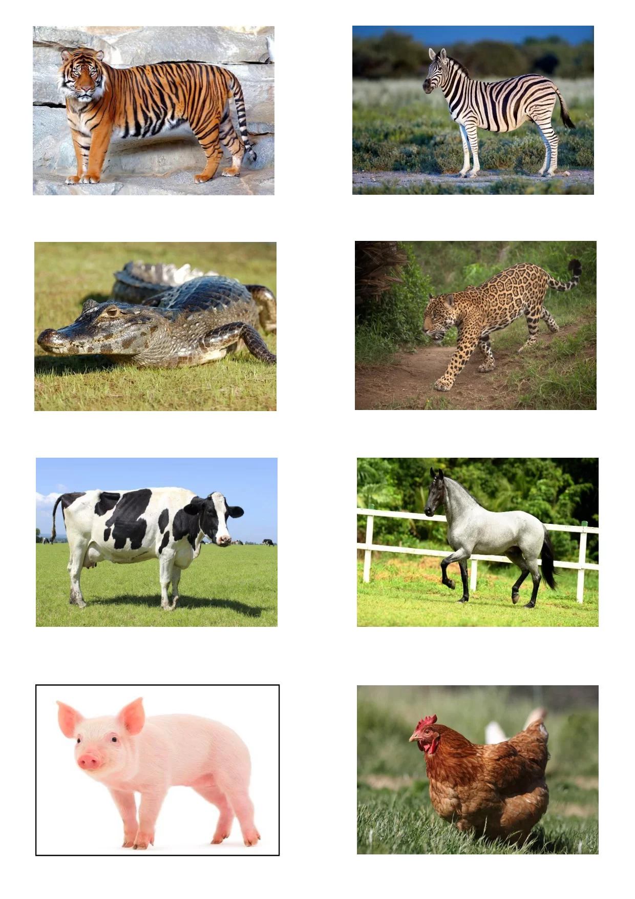 Associacao E Pareamento Atividades Para Educacao Infantil 8