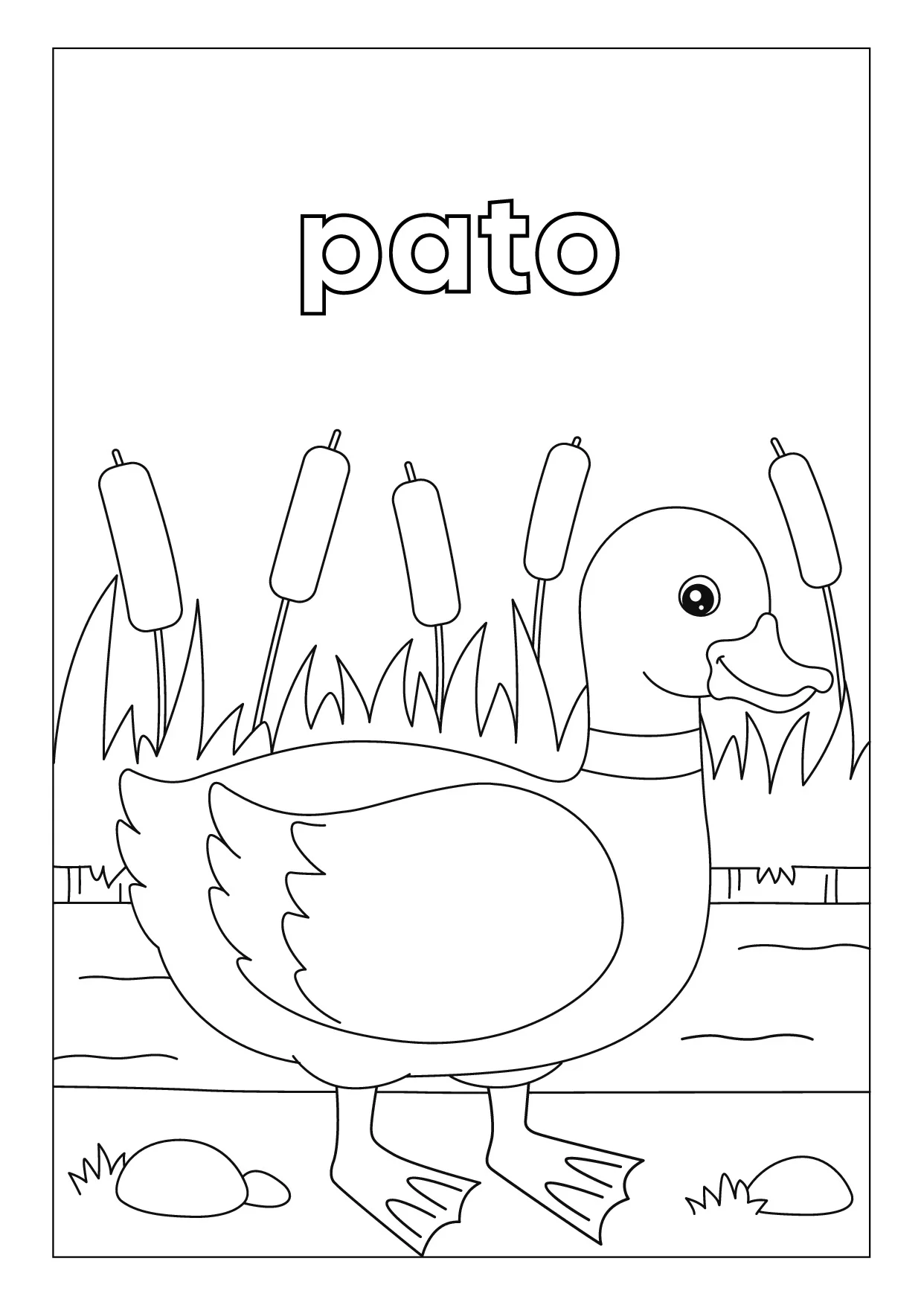 Atividades De Colorir Habitats Dos Animais Infantil 23