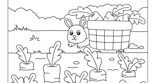 Atividades de Colorir Habitats dos Animais Infantil