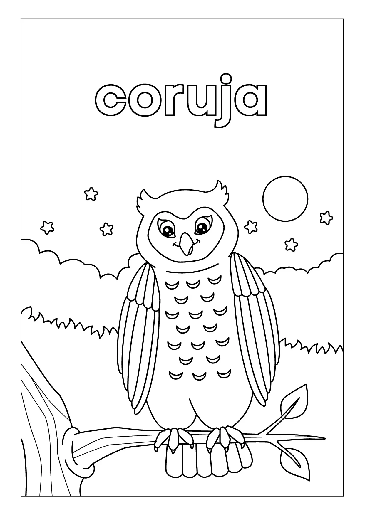 Colorir coruja