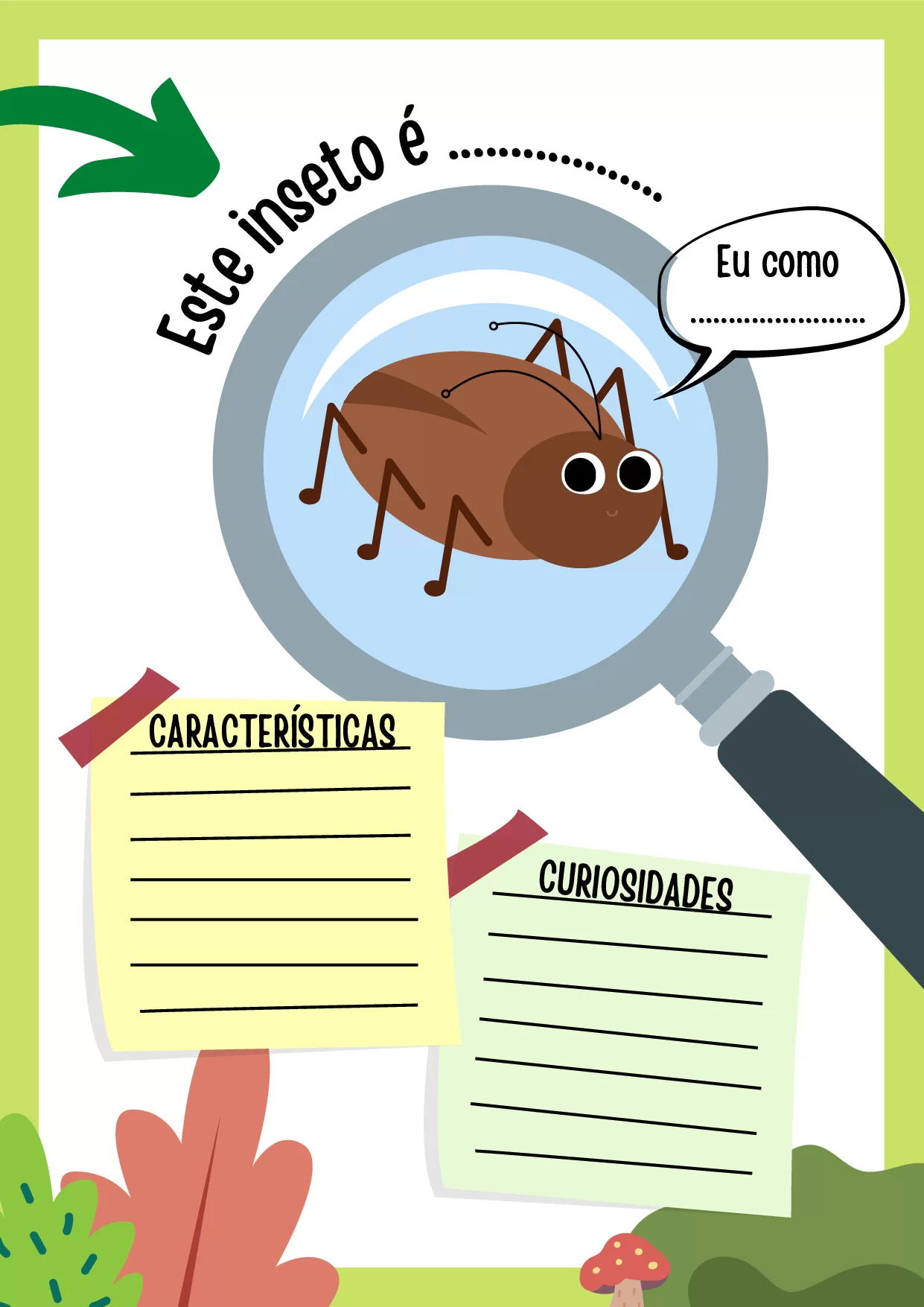 caracteristica do inseto