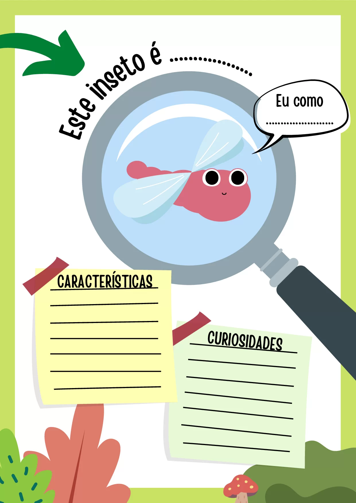 Curiosidade do inseto, atividades educação infantil