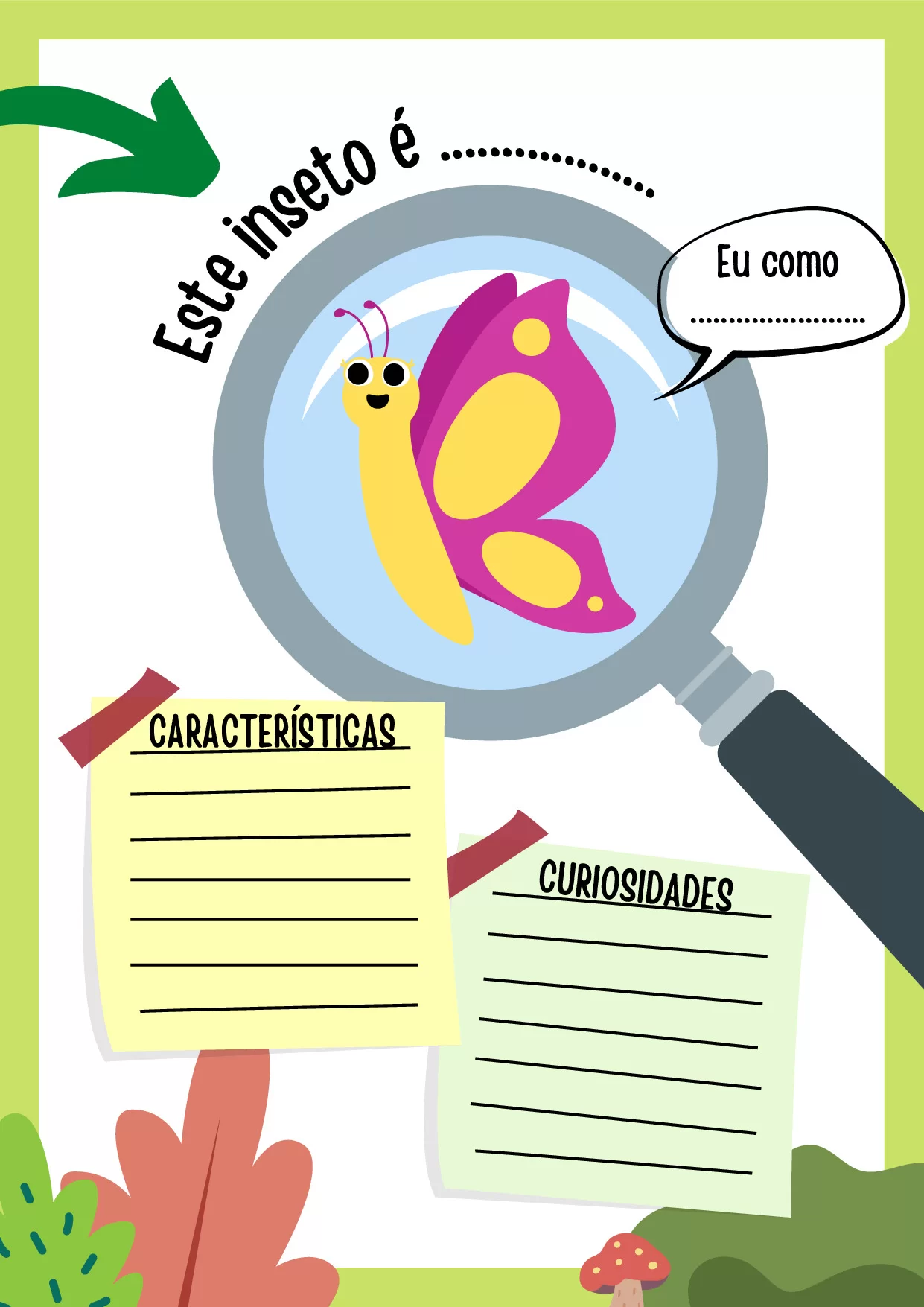 Este inseto é uma borboleta, suas características e curiodiades