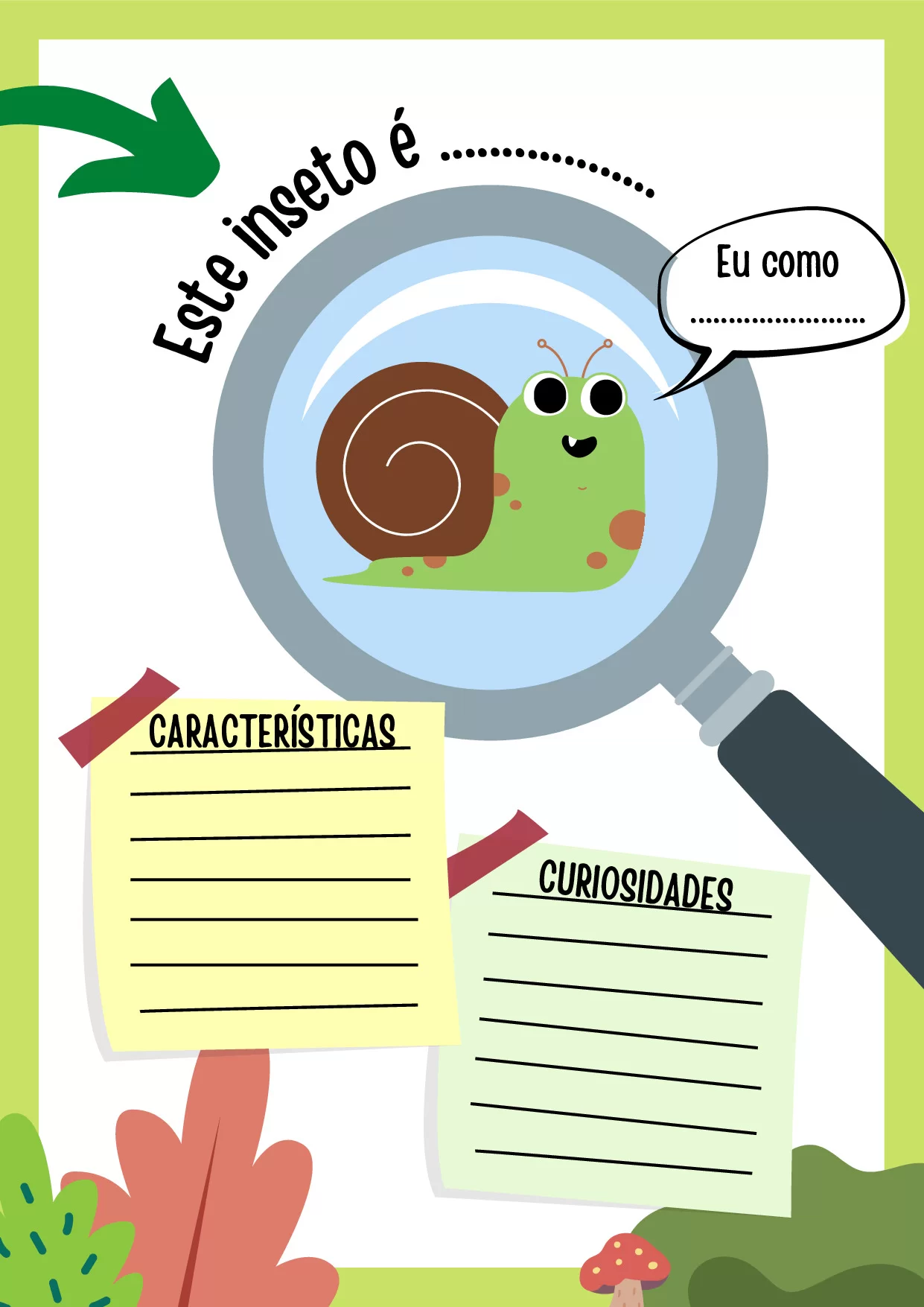 Atividades De Insetos Coloridos Para Educacao Infantil 9