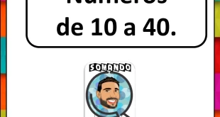 Atividades de Numerais de 10 a 40 para 1º ano do Fundamental