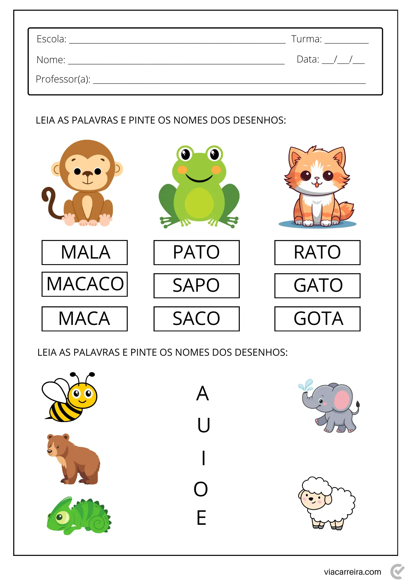 Atividades De Sondagem 1 Ano