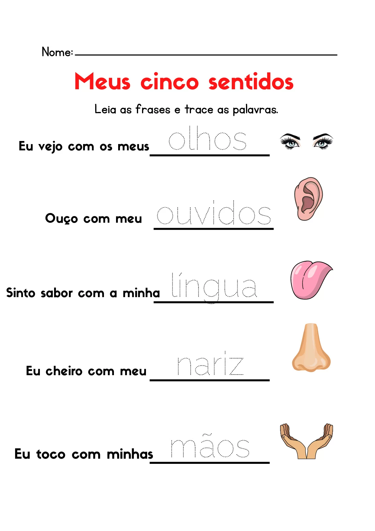 Meus 5 Sentidos 10