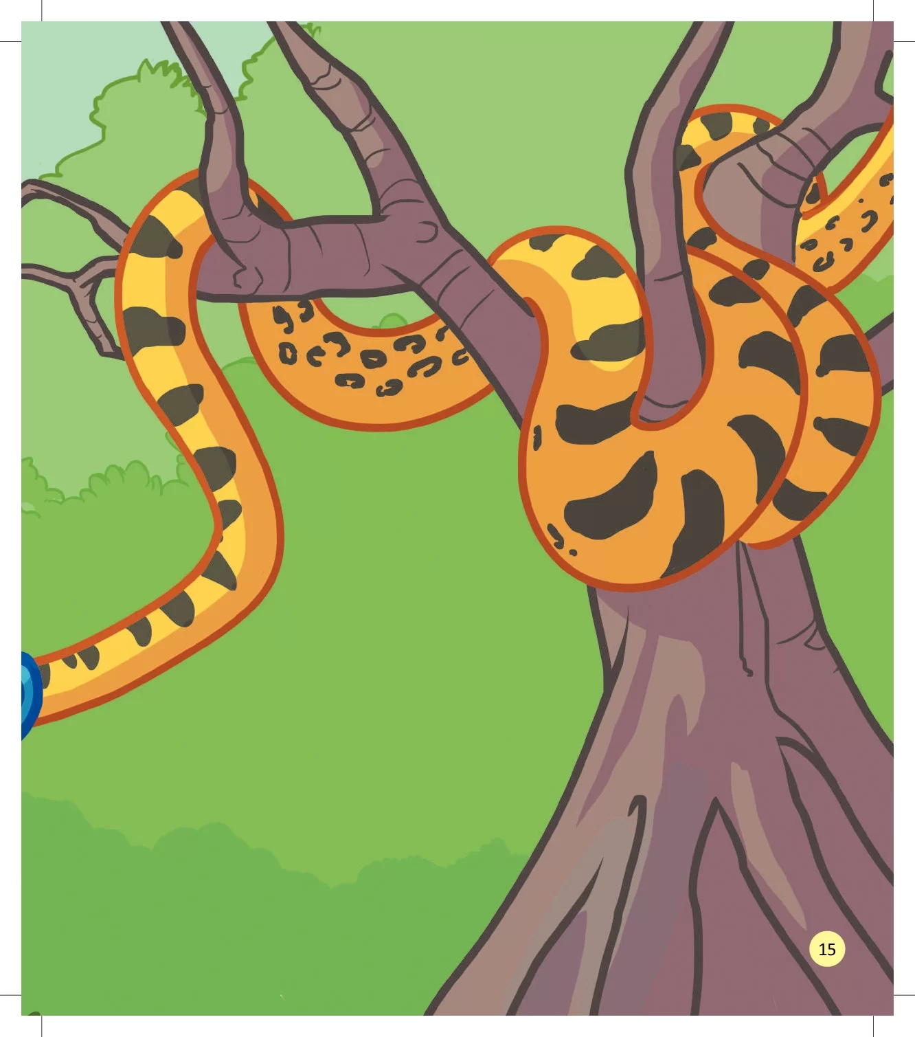 A Tatuagem Do Tatu Livro Infantil Em PDF Para Imprimir 17