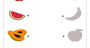 Atividades de Ligar as Sombras para Educação Infantil