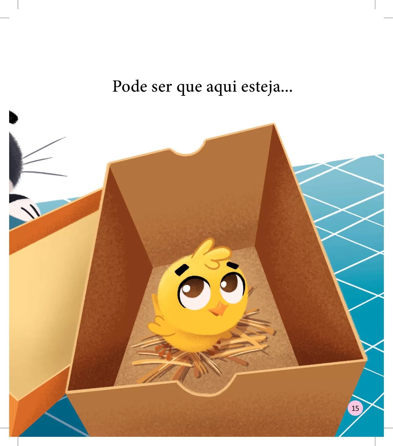 Caixa Livro Infantil Em PDF Com Misterio E Surpresa 17