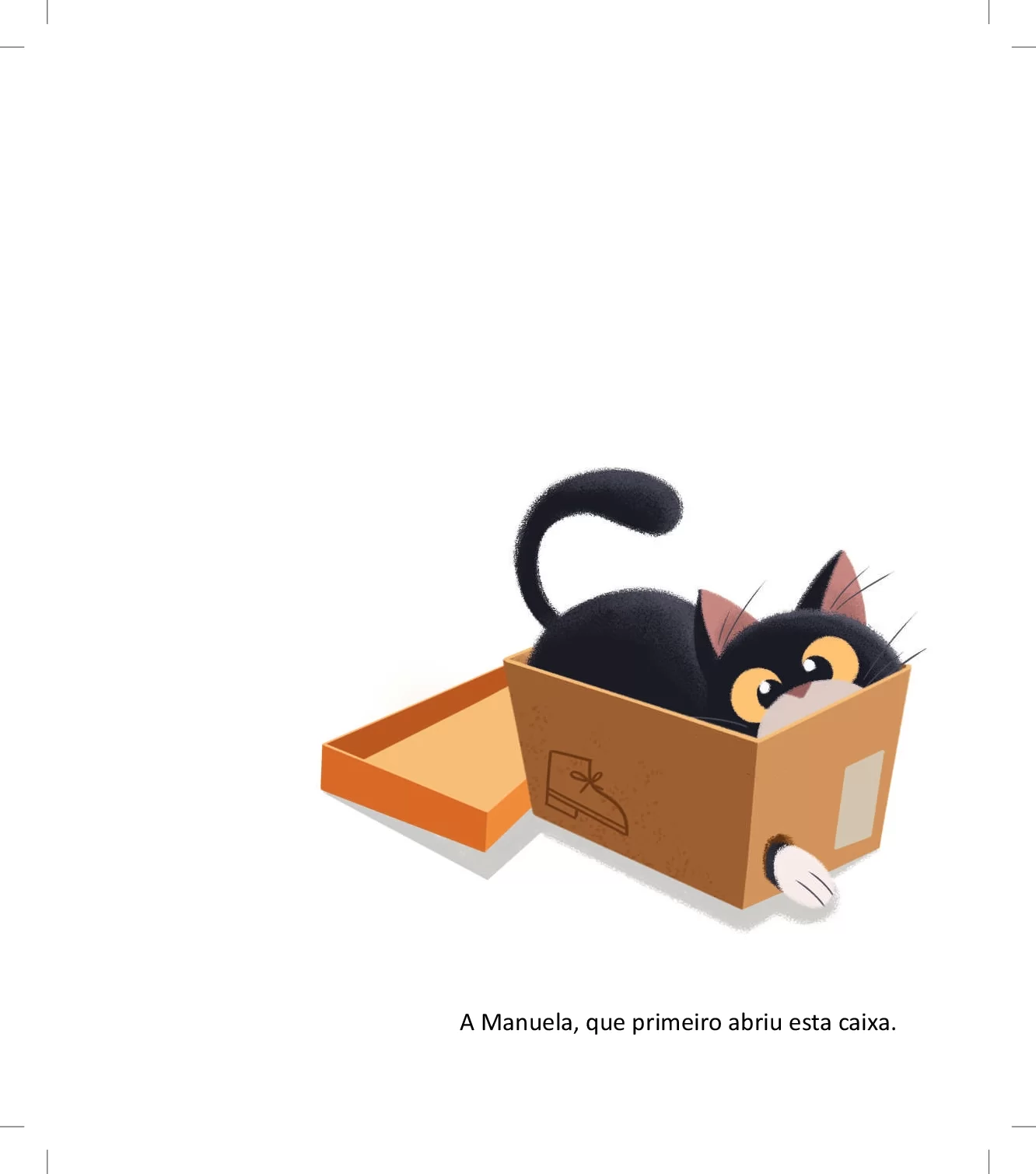 Caixa Livro Infantil Em PDF Com Misterio E Surpresa 5