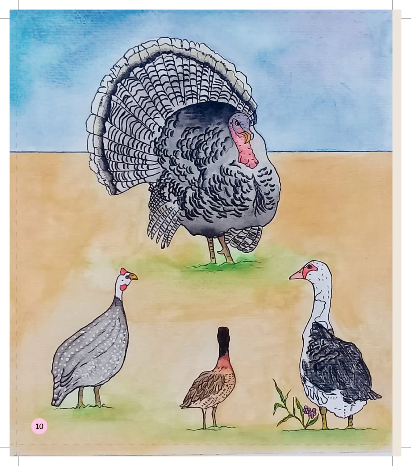 Genoveva Afina A Goela Livro Infantil 12