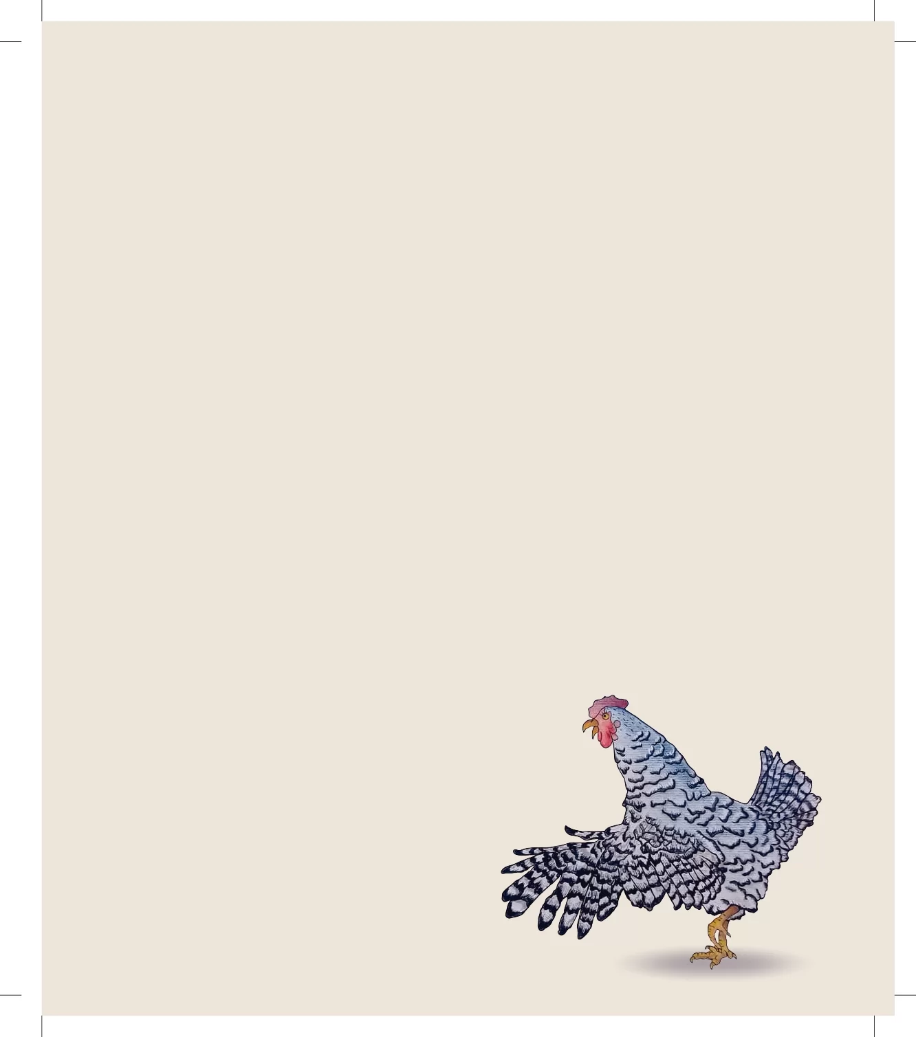 Genoveva Afina A Goela Livro Infantil 27